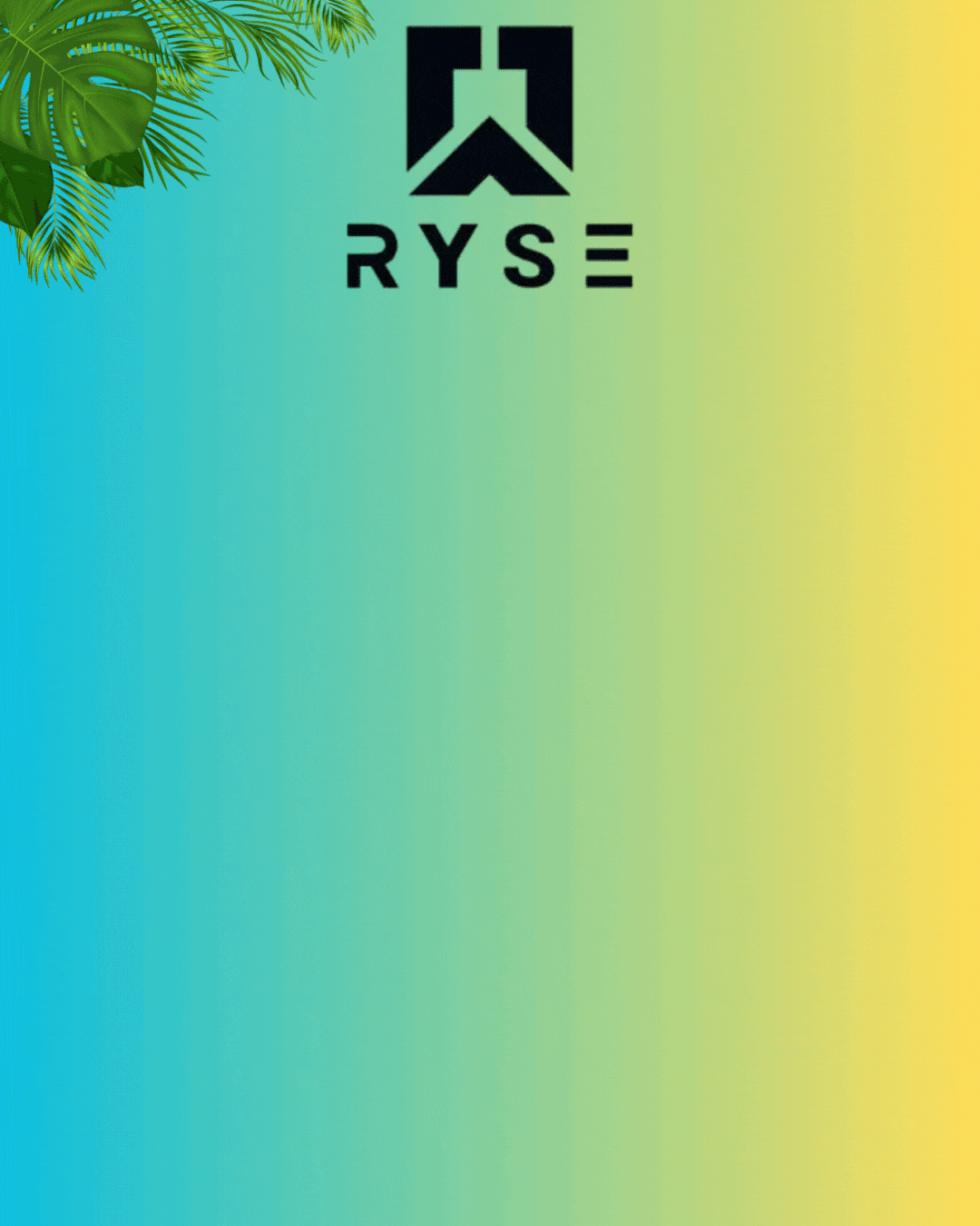 PAQUETE RYSE